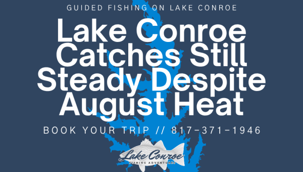 Lake Conroe catches still steady despite August heat